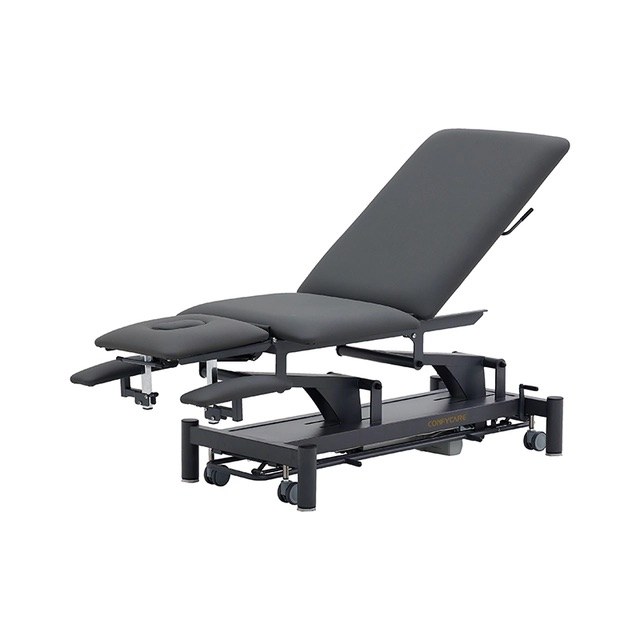 RILA PRO fysioterapibenk EL032PRO med hevet rygg